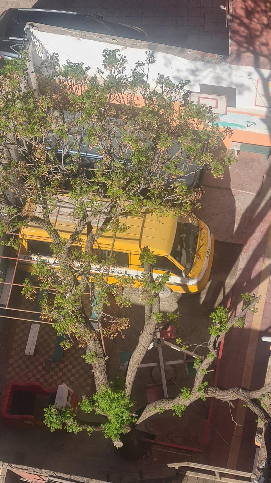 Majorelle Medina Apartment مراكش المظهر الخارجي الصورة
